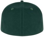 ADG_New_Era_Hat_Green